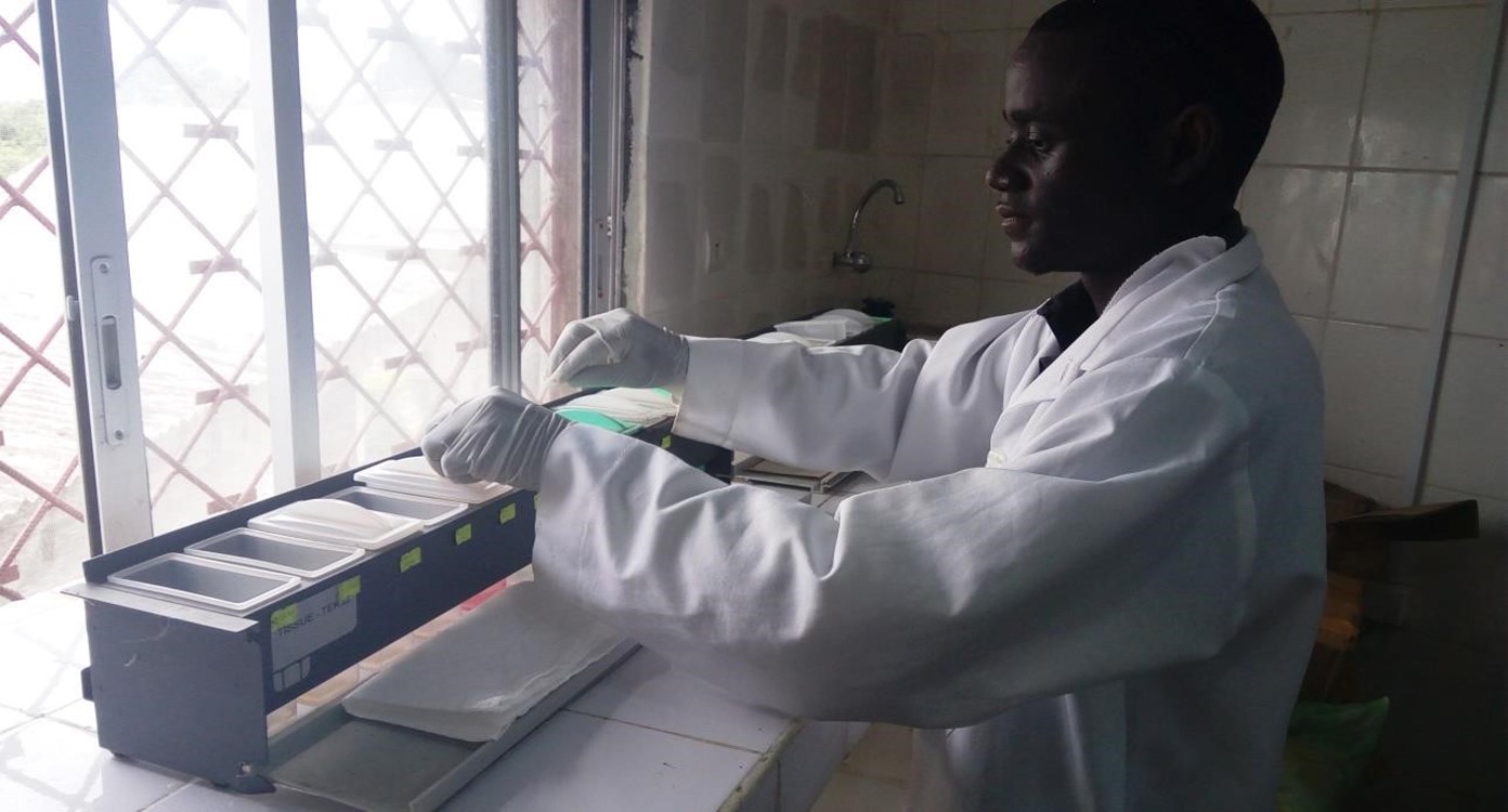 Manual Tissue Staining Station (H&E Staining)