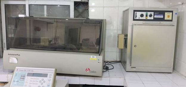 Tissue Auto-Staining Station